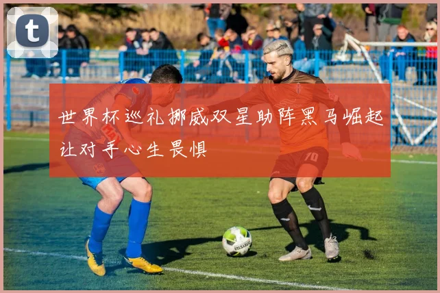 世界杯巡礼挪威双星助阵黑马崛起让对手心生畏惧
